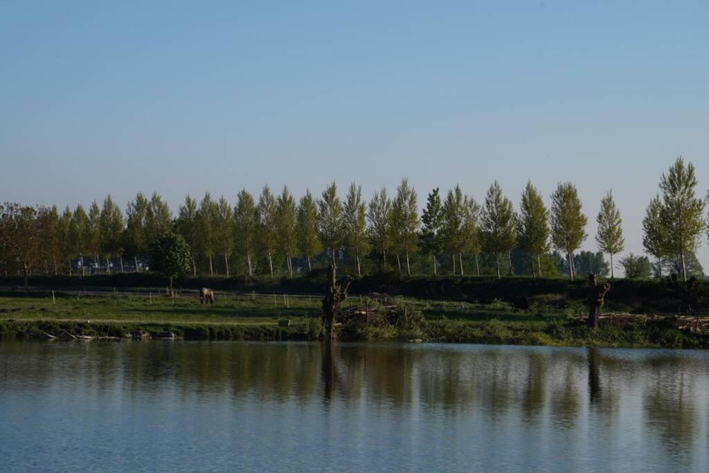 Vakantiewoning Het Olietunnetje Ovezande Exterior foto